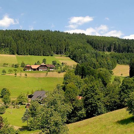Riehle Hof Zell am Harmersbach Exterior foto