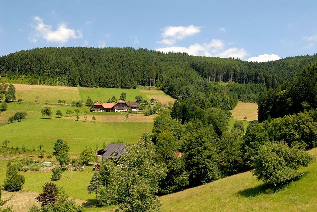 Riehle Hof Zell am Harmersbach Exterior foto